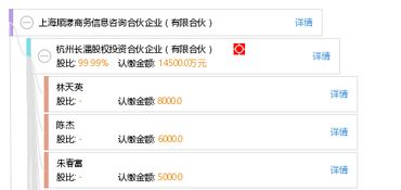上海順漾商務(wù)信息咨詢合伙企業(yè)（有限合伙）的專業(yè)服務(wù)與市場價值探析